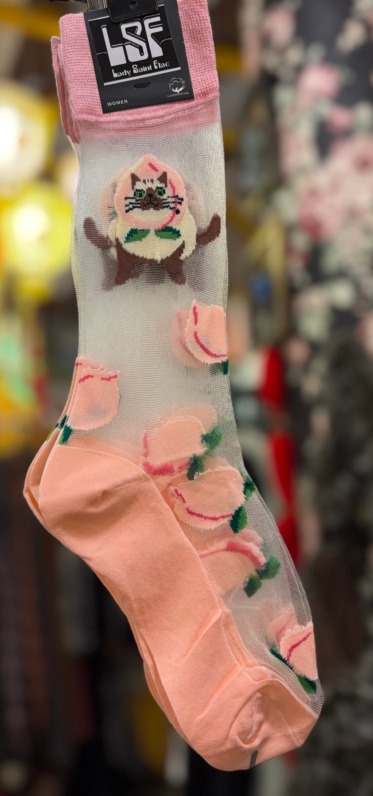 Peach cat