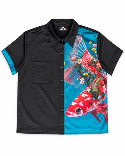 Koi calipso