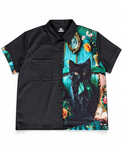 Black cat