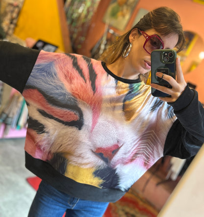 gatito